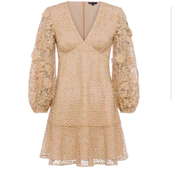 NEW - FRENCH CONNECTION Nude Caballo Sequin Lace Puff Sleeve Mini Dress size 6 - Picture 3 of 13